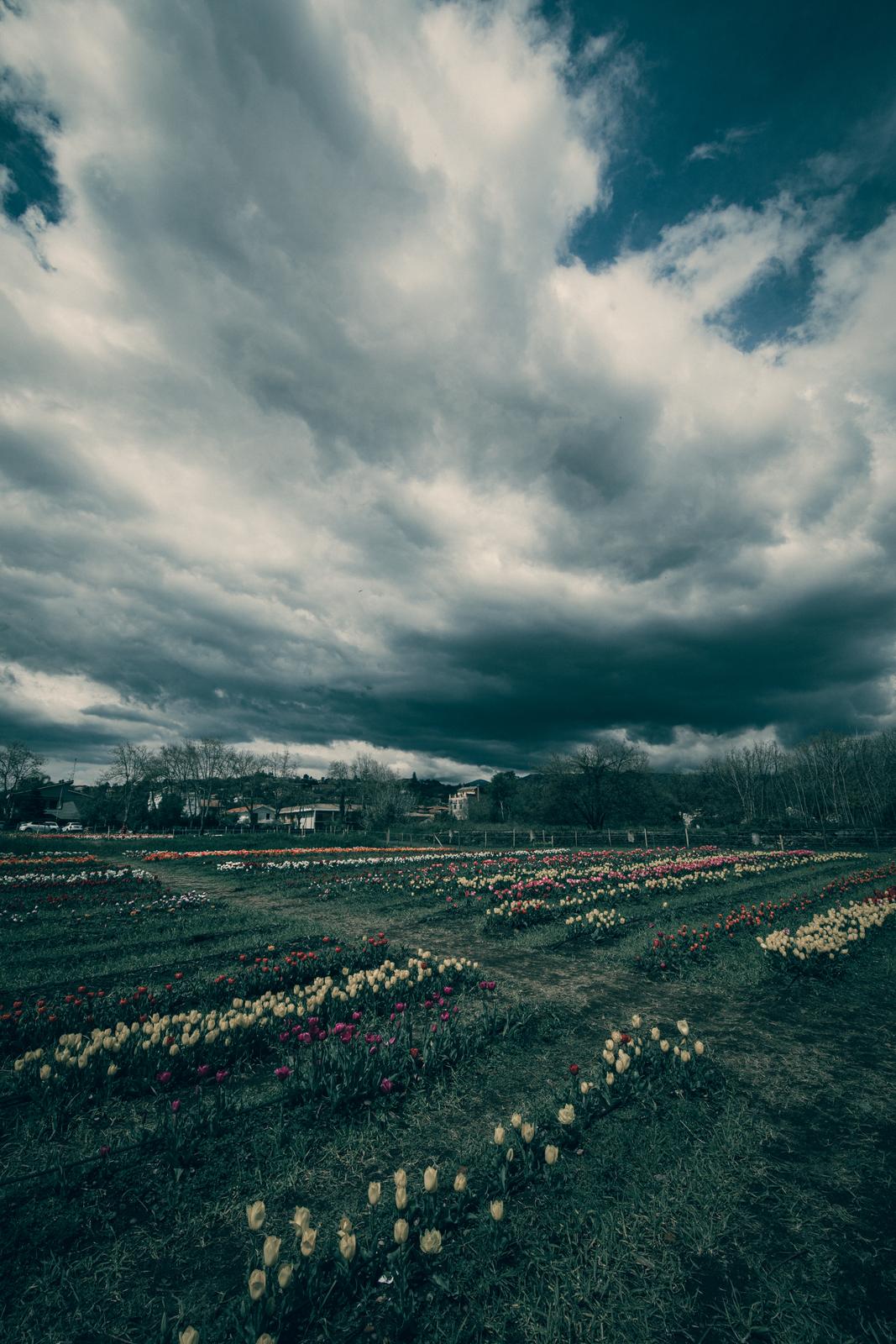 Dark Moody — con preset applicato