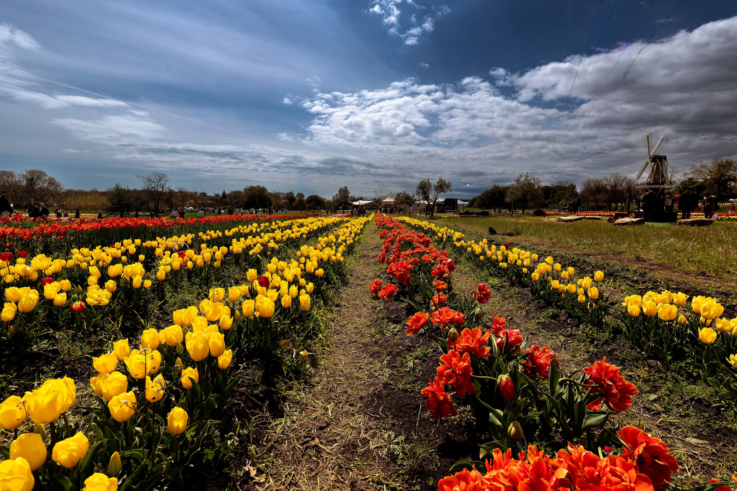 TULIPARK2026-17